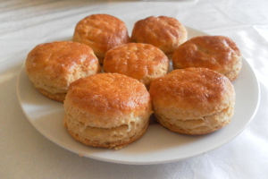 oskvarkove_pagace.JPG, 48kB