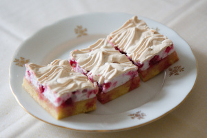 rezy_s_ribiz_snehom.jpg, 49kB