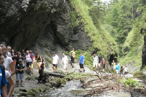 janosikove_diery.JPG, 49kB